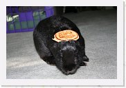 IMG_0973 * 3456 x 2304 * (3.28MB)