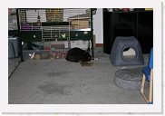 IMG_4402 * 3456 x 2304 * (2.82MB)