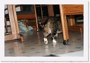 IMG_4419 * 3456 x 2304 * (3.14MB)