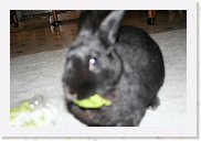 IMG_4420 * 3456 x 2304 * (2.66MB)