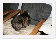 IMG_4311 * 3456 x 2304 * (4.21MB)