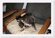 IMG_4312 * 3456 x 2304 * (4.2MB)
