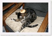 IMG_4314 * 3456 x 2304 * (4.18MB)