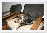 IMG_4315 * 3456 x 2304 * (4.17MB)