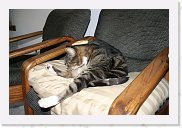 IMG_4316 * 3456 x 2304 * (4.07MB)