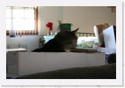 IMG_4426 * 3456 x 2304 * (2.51MB)
