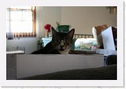 IMG_4427 * 3456 x 2304 * (2.56MB)