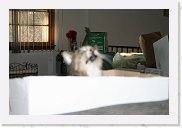 IMG_4428 * 3456 x 2304 * (2.76MB)