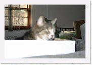 IMG_4431 * 3456 x 2304 * (2.44MB)
