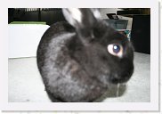 IMG_4633 * 3456 x 2304 * (2.6MB)