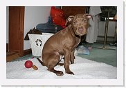 IMG_4651 * 3456 x 2304 * (3.13MB)