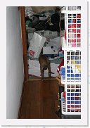 IMG_4652 * 3456 x 2304 * (2.88MB)