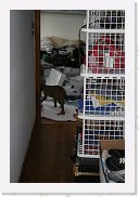 IMG_4655 * 3456 x 2304 * (2.98MB)