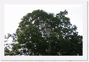 IMG_5635 * 3456 x 2304 * (3.45MB)