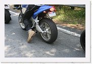 IMG_5710 * 3456 x 2304 * (3.92MB)