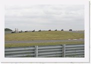 IMG_6409 * 3456 x 2304 * (2.41MB)