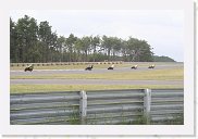 IMG_7303 * 3456 x 2304 * (3.55MB)