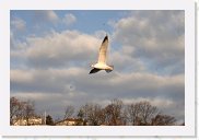 IMG_4767 * 3456 x 2304 * (1.19MB)