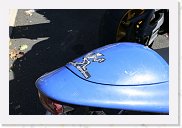 IMG_4211 * 3456 x 2304 * (2.97MB)